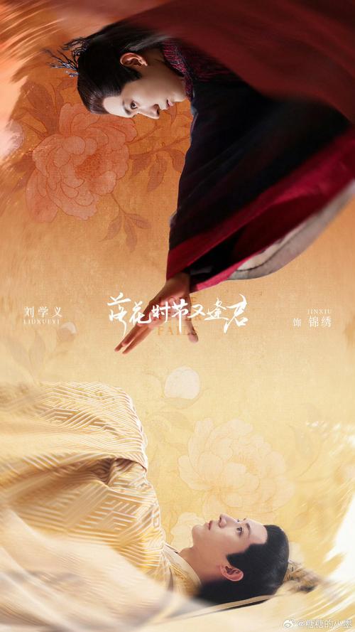 华胥引19集莺歌拼死护回忆 像不愿用AI删除痛苦的你